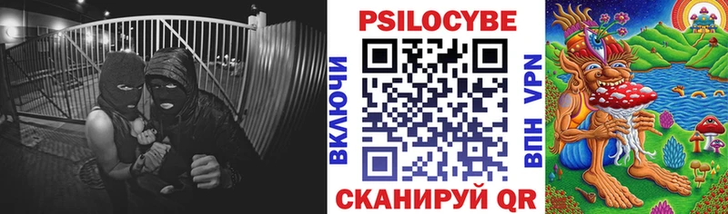 Псилоцибиновые грибы Psilocybe  Купить  Мурино 